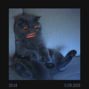 Meet your Posher, Collin